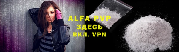 крисы Абаза