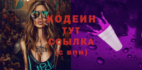 дмт Осташков